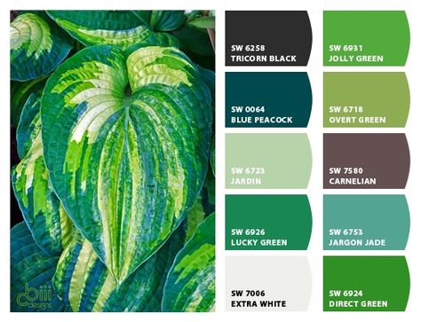 Paint colors from Chip It! by Sherwin-Williams Paint Palettes, Colorful Things, 타이포그래피 포스터 디자인, Colour Trends, Green Palette, Green Paint Colors, Green Colour Palette, Design Seeds, Color Balance