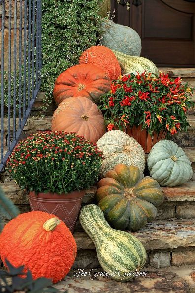 Fall landscaping: update your porch, patio or garden with gorgeous gourds and pumpkins! Fall Landscaping, Pumpkins And Gourds, Outside Fall Decor, Pumpkin Display, Fall Deco, Autumn Decorating, Fall Front Porch, Fall Outdoor Decor, Fall Decorations Porch