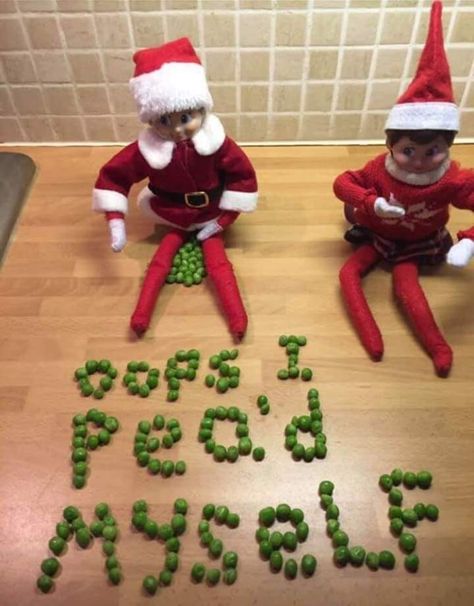 Elf I peed myself Elf Magic, Awesome Elf On The Shelf Ideas, Xmas Elf, Elf Antics, Elf Fun, 12 December, Elf On The Shelf Ideas, Shelf Ideas, Deck The Halls