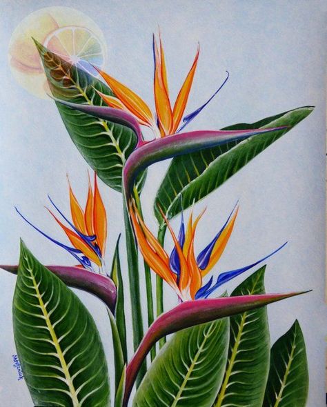 Bird Of Paradise Painting, Bird Of Paradise Tattoo, Paradise Painting, Painting Products, Tropical Motifs, Tropical Trend, Bird Of Paradise Plant, Paradise Flowers, Paradise Plant