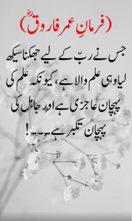 Hazrat Umer Farooq Quotes In Urdu, Umar Bin Khattab Quotes Urdu, Hazrat Umar Quotes In Urdu, Hazrat Umer Farooq Quotes, Hazrat Umar Farooq Quotes, Umar Bin Khattab Quotes, Hazrat Umar Farooq, Hazrat Umar, Islamic Quotes Sabr