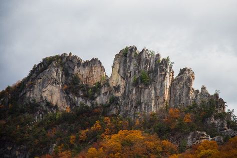 Discover Majestic Seneca Rocks, West Virginia Seneca Rocks, West Virginia Travel, Virginia Travel, Fall Camping, North America Travel, West Virginia, Weekend Getaways, Hiking Trails, Travel Usa