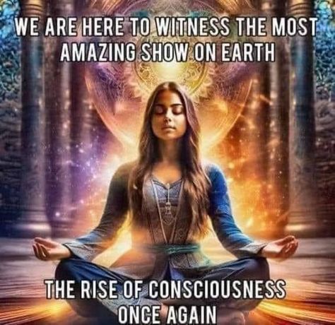 Quantum Consciousness, Energy Consciousness, Universal Consciousness, Seek Peace, Levels Of Consciousness, Angel Messages, Higher Consciousness, Spiritual Path, Spirituality Energy