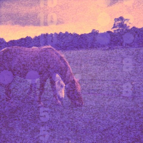 Expired Film Aesthetic, Expired Film Photography, Expired Film, Boards Of Canada, Sensory Art, Film Photos, Film Photography 35mm, Experimental Photography, Group Therapy