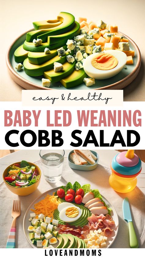 Easy and Healthy Baby Led Weaning Cobb Salad Recipe | Love and Moms Baby Led Weaning Lunch Ideas, Lunch Toddler, Weaning Meals, Baby Led Weaning Breakfast, Weaning Baby, Blw Recipes, Baby Led Weaning First Foods, Cobb Salad Recipe, Toddler Lunch