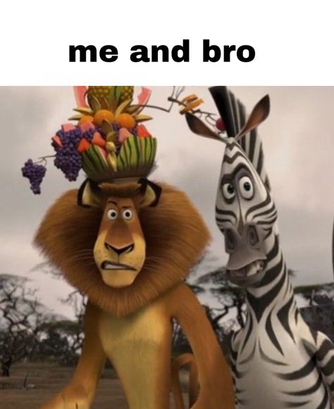 #real #meandbro #friends #bestfriends #funny #meme #tiktok #madacascar Madagascar Movie Funny, Madagascar Meme, Me And Bro, Madagascar Movie, Bff Stuff, Clone High, Memes In Real Life, Latest Funny Jokes, Random Memes