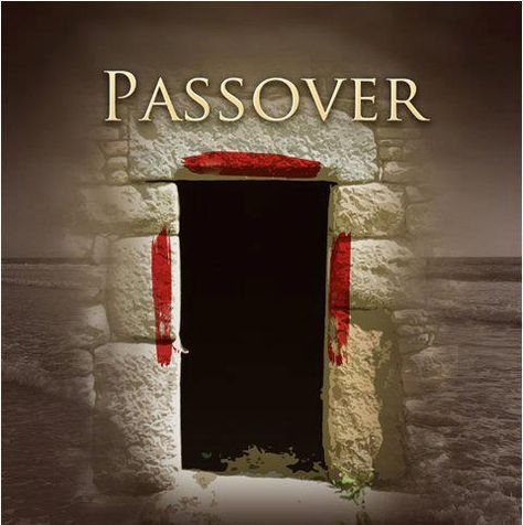 Passover Feast, Jewish Feasts, Passover Lamb, Exodus 12, Feasts Of The Lord, Hebrew Roots, In Remembrance Of Me, Hebrew Words, Jesus Christus