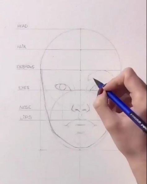 Step By Step Drawing Face, Draw Human Face, Drawing Face Tutorial, How To Draw Human, Portrait Faces, Line Art Portrait, Face Tutorial, Draw Human, Drawing Tutorial Face