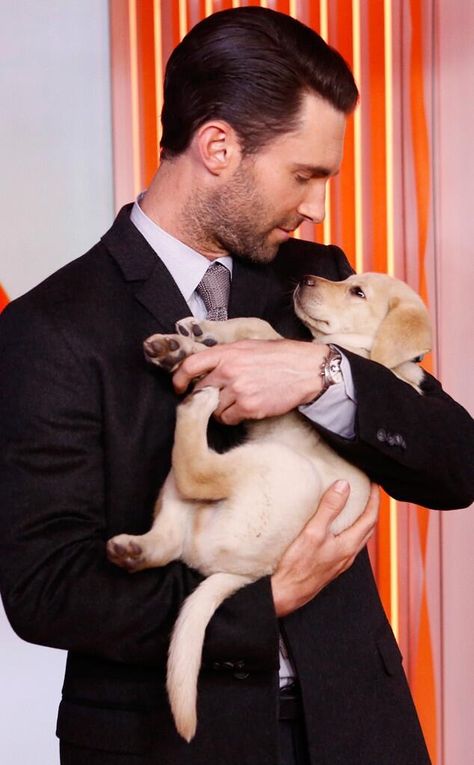 Adam Levine holding a Yellow Lab puppy?!  Does it get any cuter than this??? Holding Puppy, Andy Garcia, Clive Owen, Gerard Butler, Adam Levine, Maroon 5, A Puppy, Robert Downey Jr, Man Alive