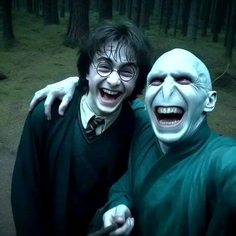 Voldemort Funny, Harry Potter Voldemort, Harry Potter Parody, Harry Potte, Harry Potter Ron, Harry Potter Icons, Images Harry Potter, Harry Potter Actors, Harry Potter Pictures