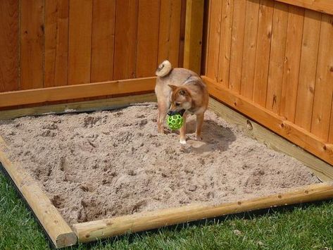 DYI Dog Yard Sand Box - Great for the dog that loves to dig! | eHow... think I should do this for tanker Digging Dogs, Dog Friendly Backyard, Dog Backyard, Muddy Dog, Sand Pit, Dog Yard, Dog Playground, Dog Potty, Dog Area