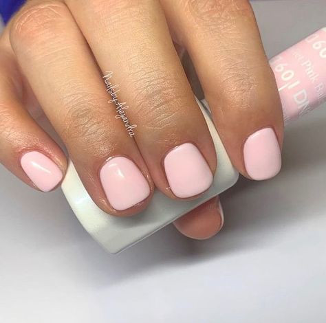 Soft Pink Dnd Gel, Dnd Pale Pink Gel, Dnd White Pink Color, Dnd 865 Pearly Pink, Dnd Gel Polish Colors Valentines, Dnd Pearly Pink, Light Pink Dnd Gel Polish, Ballet Pink Nails Gel, Dnd Light Pink Gel Polish