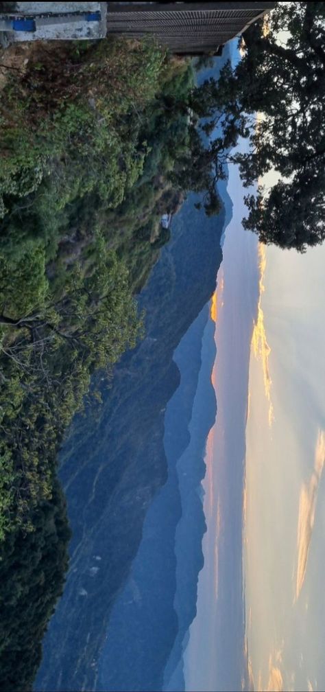 Morning Nature Snap, Morning View Snap, Mussoorie Snap, Outings Aesthetic, Fake Morning Snap, Mussoorie Aesthetic, Mussoorie Photography, Morning Vibes Aesthetic, Morning Snap