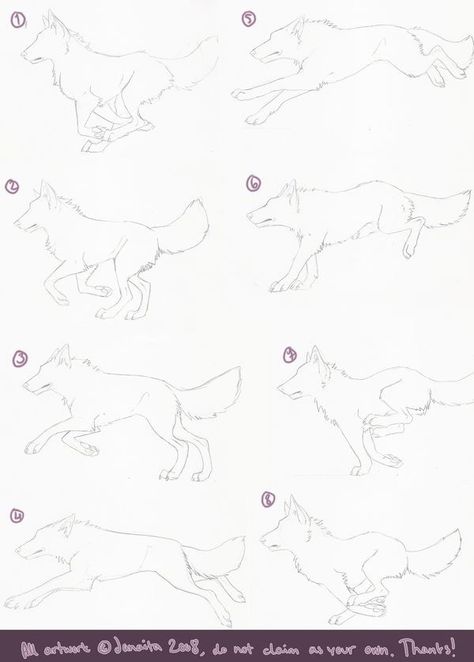 Wolf Sketches, Sketchbook Reference, Dog Reference, Running Drawing, Wolf Running, Wolf Sketch, Canine Drawing, Wolf Drawing, Fish Drawings