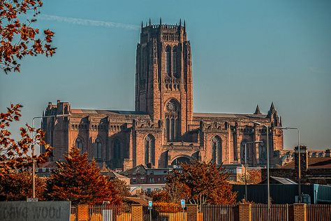 Anglican Cathedral, Liverpool Liverpool Images, Liverpool Cathedral, Liverpool Home, Home City, Liverpool City, Forbidden Fruit, Iconic Buildings, City House, End Of The Year