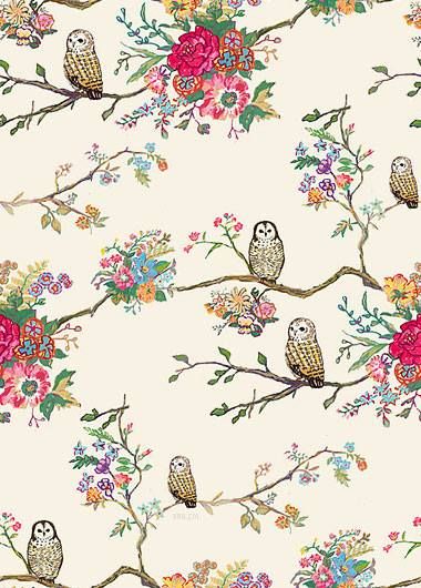 background paper for scrapbooking and card making Alice In Wonderland Wallpaper Desktop, Tim Burton Alice In Wonderland, Alice In Wonderland Wallpaper, Owl Background, Wonderland Wallpaper, Paint My Room, Owl Paper, Feather Background, Eastern Screech Owl