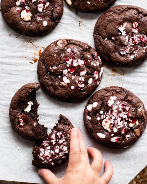 Peppermint Chocolate Cookies, Chocolate Peppermint Cookies, Peppermint Chocolate, Peppermint Cookies, Triple Chocolate, Chocolate Peppermint, Chocolate Baking, Double Chocolate, Candy Canes