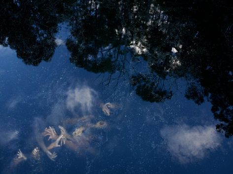 Tamara Dean, Western Wild, Photography Settings, Viewing Room, Australian Photographers, Spiritual Experience, Artist Gallery, Underwater Photography, Contemporary Art Gallery