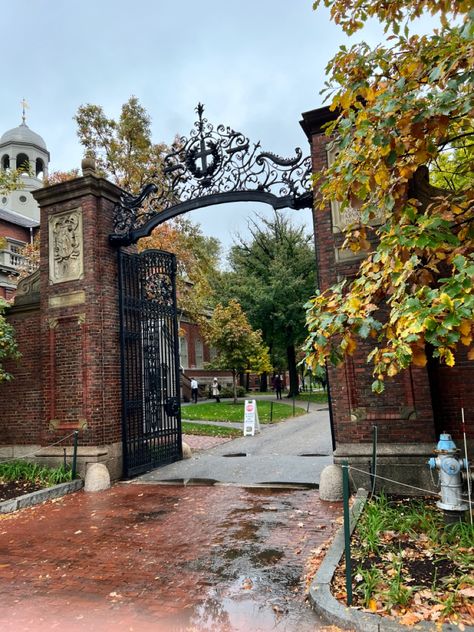 Harvard Manifestation, Harvard Poster, Harvard Aesthetic, Harvard University Campus, University Cafeteria, Fangirling University, University Inspiration, Boston Vacation, College Architecture