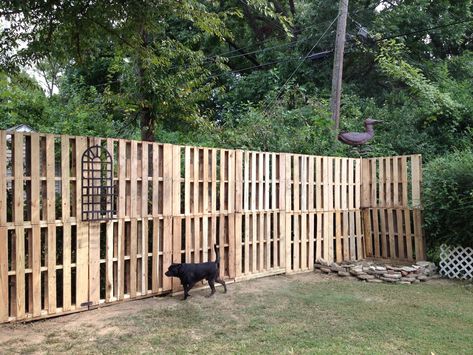 Pallet fence w/small plant hanger attached. Back yard paradise coming along. Pallet Fences, Pallet Fence Diy, Wood Pallet Fence, Pallet Gate, Fence Planning, Diy Garden Fence, Cheap Fence, Privacy Landscaping, Pallet Fence