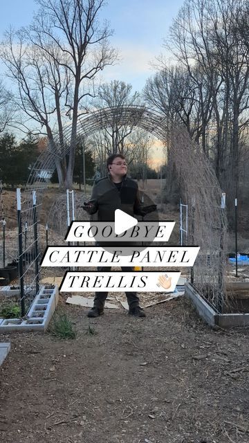 Joshua Meekins on Instagram: "Comment “TRELLIS” and I’ll send you my free Trellis Cheat Sheet to help get you started! You can also find it on my site 😁

What are your thoughts on cattle panel trellises? I haven’t heard of anyone not liking them. The biggest hurdles are price and the legisticts of getting them home.

I’ve had a friend with a truck and another with a trailer help me the three times I’ve bought them.

The 16‘ x 50“ cattle panels at my local tractor supply cost about $35. The five-foot T-posts, which are plenty tall for supporting this trellis, cost around $5 each. 
Your price may vary, but for around $55 (and the fact it’ll last forever), makes it very compelling for us gardeners. 

Post drivers, brackets,  zip ties, or metal wire connectors are all extra supplies you may n Cattle Panel Garden, Pig Fence, Cattle Panel Trellis, Fence Trellis, Wire Trellis, Cattle Panels, Tractor Supplies, Tractor Supply, Wire Connectors