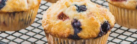 Fresh Start Muffins Dairy Free Blueberry Muffins, Homemade Honey Butter, Muffins Blueberry, Batch Baking, Gluten Free Blueberry Muffins, Homemade Blueberry Muffins, Easy Blueberry Muffins, Healthy Blueberry Muffins, Moist Muffins