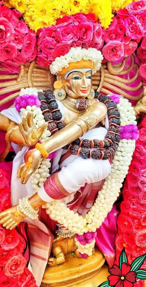 Nadarajah God, Sivan Lord, God Sivan, Shiva Angry, Devotional Images, Lord Shiva Sketch, Photo Facts, Downtown Photography, Best Friend Images