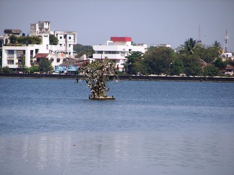 Rankala Lake – A Great Place to Hang Out - Rankala #Lake is a significant tourist place in #Kolhapur that holds #historical as well as #cultural connotation. It is a hang out place for #tourists. Auto Rickshaw, Tourist Places, Delicious Food, San Francisco Skyline, Great Places, Hanging Out, Lake, Travel, Quick Saves