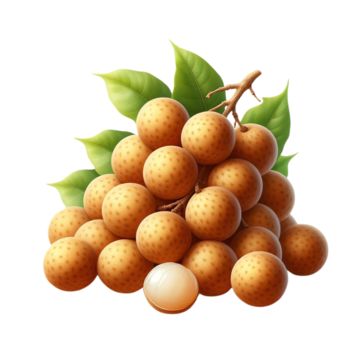 longan,fresh longan,cute longan,fruit,food,fresh,small longan,delicious longan,longan fruit,peeled longan,fruit longan,fruit illustration,yellow,dimocarpus longan,dried longan,fruits and vegetables,delicious,big longan,hand painted,cartoon longan,longan fruit illustration,cartoon longan fruit,cute longan illustration,longan fruits,pulp,fresh fruit,cute longan fruit,peeled longan fruit,cute peeled longan,imported fruits,longan pictures,longan grains,dry goods,dry fruits,longan hand drawn illustration,tropical fruit,fruit festival,longan picking,green fruit,longan in autumn,hand painted longan,peeled,photography,free photography,cartoon hand drawn,cartoon illustrations,summer,southern fruit,sweet longan,longan fruit plate,snacks,health Photography Cartoon, Longan Fruit, Fruit Festival, Fruit Fruit, Fruit Peel, Fruit Food, Black And White Tree, Fruit Illustration, Dry Fruits