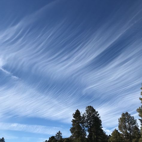 Cirrus fibratus over Coconino County, Arizona Cirrus Cloud, Cloud Type, Dreamy Clouds, White Clouds, Belleza Natural, Mother Nature, The Live, Arizona, Breaking News