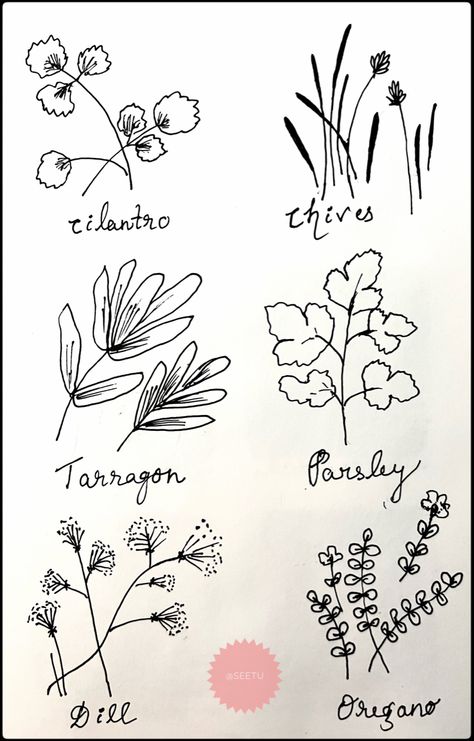 Herb Drawings Simple, Herb Doodles, Witchy Doodles, Scrapbook Tricks, Herbs Illustration, Plant Doodle, Herb Boxes, Flower Drawings, Pen Drawings