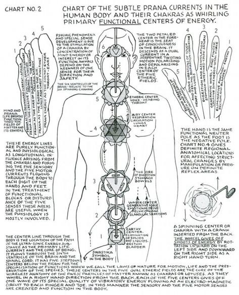 Chart of the subtle Prana currents in the human body. Polarity Therapy, Sacred Science, Transcendental Meditation, The Chakras, Spirit Science, Energy Medicine, Alternative Healing, Qi Gong, Body Energy