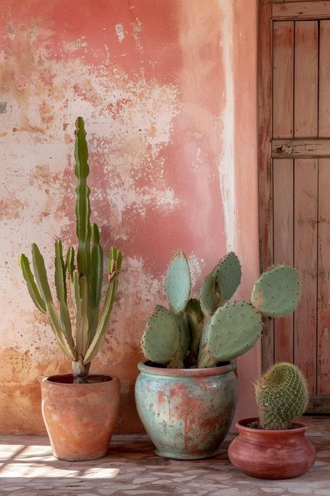 Cactus In Pots Outdoor, Trash Wall, Indoor Cactus Garden, Cacti Garden, Mexican Garden, Wisteria Tree, Indoor Cactus, Cactus Pot, Surf Shack