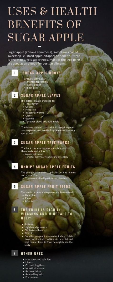 Sugar Apple Fruit, Alkaline Fruits, Custard Apple, Food Health Benefits, Sugar Apples, Tropical Countries, Fruit Benefits, Apple Varieties, Apple Seeds