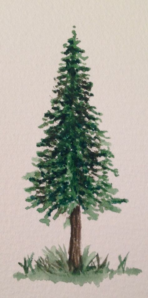 Simple Pine Tree Watercolor, Spruce Tree Painting, Pine Tree Painting Easy, Pine Tree Watercolor, Mirror Painting Ideas, Tree Painting Easy, Pine Tree Drawing, Tree Drawings, Pine Tree Painting