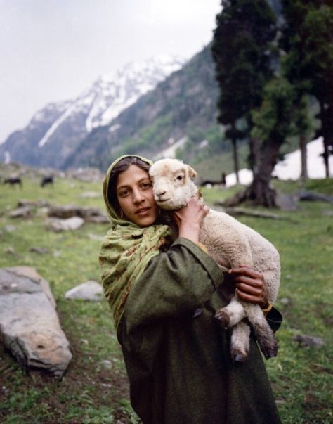 Kashmiri Girl with Lamb - Mamiya 7, Kodak Portra, iso 100. ©MHP 2014 Sheep Herding, Mamiya 7, Kashmir Photos, Srinagar, Kodak Portra, We Are The World, World Cultures, People Of The World, Documentary Photography