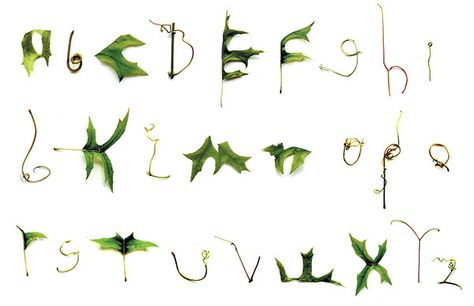 Nature Typeface on Behance Nature Typeface, Nature Typography, Experimental Type, Tea Logo, Letter Ideas, Calligraphy Alphabet, High Maintenance, Art Things, Botany