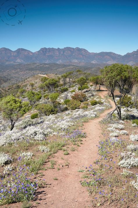 Australian Scenery, Australia Outback, Flinders Ranges, Australian Landscapes, Australian Culture, Rural Photography, Australia Landscape, Art Assignments, Australian Landscape