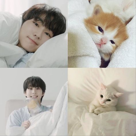 Jungwon With Cat, Jungwon Cute Picture, Cat Jungwon, Jungwon Funny, Jungwon Cat, Jungwon Cute, Given Taken, Game Of Survival, Me And My Friend