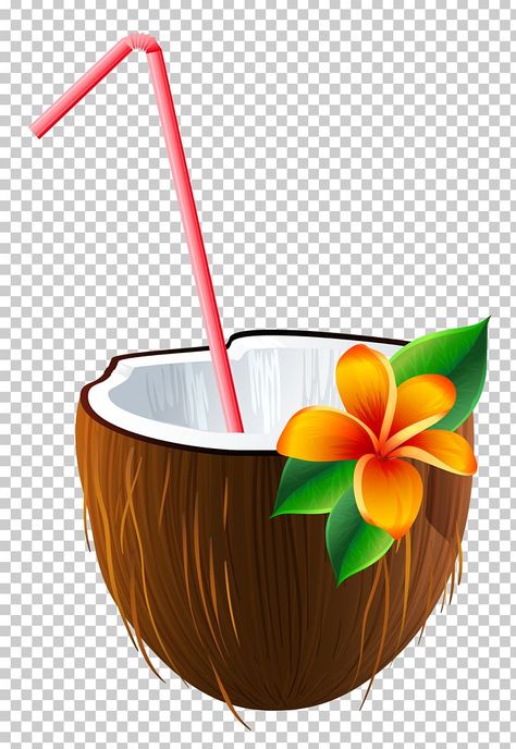 Coconut Outline, Coconut Pictures Cartoon, Background Coconut, Coconut Drink Illustration, Coconut Clipart, Coconut Tree Png, Cocktail Coconut, Hawaii Clipart, Water Png