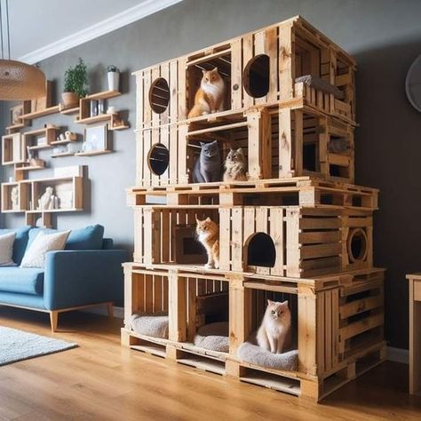 Wood Crate Cat Wall, Cat Building Ideas, Cat Hiding Places Diy, Aesthetic Cat Tree, Cat Room Diy, Make A Mood Board, Salmon Pate, Cat Room Decor, Cat Tree Designs