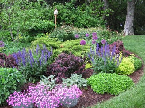 Large Yard Landscaping, Evergreen Landscape, Large Backyard Landscaping, Planting Design, Landscaping Garden, Front Landscaping, Fine Gardening, Plant Ideas, My Sons