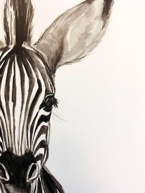 Zebra Watercolor, Zebra Drawing, Animal Paintings Acrylic, Zebra Painting, Zebra Art, Baby Zebra, Baby Drawing, Watercolor Animals, Zebras