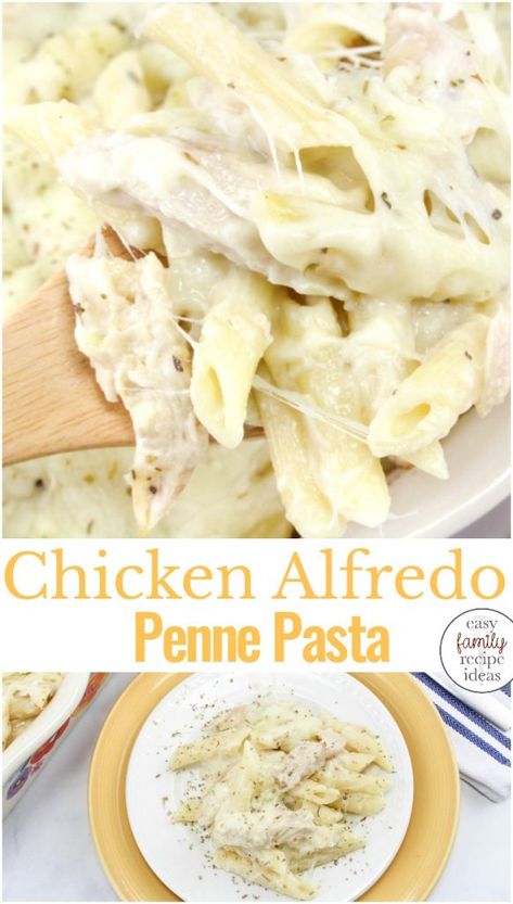 Costco Chicken Alfredo Recipe, Prego Chicken Alfredo Recipe, Easy Chicken Alfredo Recipe Simple, How To Make Chicken Alfredo, Cream Cheese Chicken Alfredo, Penne Pasta Alfredo, Easy Chicken Alfredo Bake, Ziti Chicken, Chicken Alfredo Penne Pasta