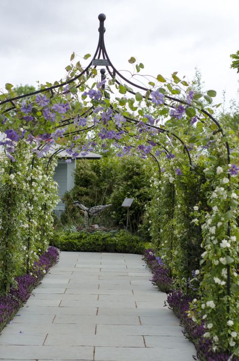 Clematis Arbors_5 Alabama Garden, Driveway Entry Landscaping, Entry Landscaping, Quirky Garden, Clematis Trellis, Climbing Clematis, Arch Gate, Landscape Curbing, Arbors Trellis