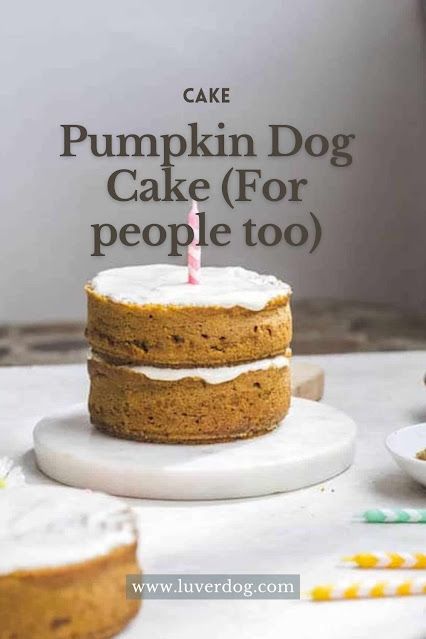 Dog Friendly Pumpkin Cake, Dog Cake With Pumpkin, Dog Cake Recipe Easy Pumpkin, Pumpkin Cake For Dogs, Dog Cake Recipe No Peanut Butter, Dog Cake Recipe Easy 3 Ingredients, Dog Pumpkin Cake, Dog Cake Pumpkin, Diy Dog Cake Recipe Easy