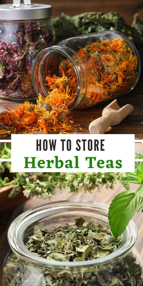 Read this guide and learn how to store loose leaf herbal tea the the right way. Proper storage is essential for freshness, flavor, and safety. Herbal Tea Storage, How To Store Loose Leaf Tea, Loose Leaf Tea Station, Loose Leaf Tea Recipes, Loose Tea Recipes, Tea Recipes Loose Leaf, Loose Leaf Tea Storage, Herbal Tea Recipes Homemade, Healing Tea Recipes