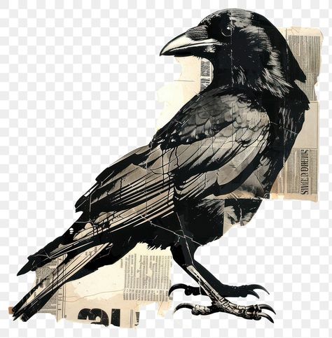 Crow Png, Raven Illustration, Collage Cutouts, Newspaper Background, Bird Shape, Shape Collage, Collage Elements, Black Bird, Artistic Designs