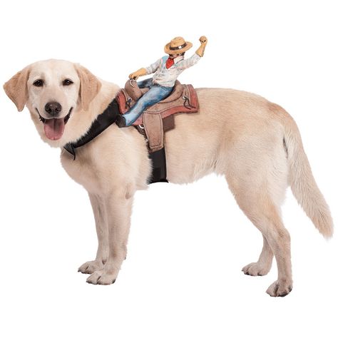 The dogs expression is what makes this, like he doesn't know how intense things really are. Cowboy Dog Costume, Costume Cowgirl, Geek Outfit, Pet Costumes For Dogs, Dog Costumes Funny, Puppy Costume, Dog Milk, Cowboy Costume, Pet Halloween Costumes