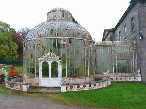 Original early Victorian glass conservatory attached to a big Georgian country house in England Croquis Architecture, Victorian Greenhouses, Conservatory Greenhouse, Greenhouse Plans, Abandoned Buildings, Shabby Chic Homes, Abandoned Houses, Glass House, Dream Garden